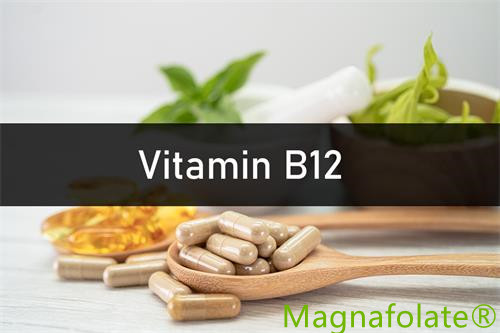 Vitamiin B12: Sissejuhatus, Kasu, Tervis