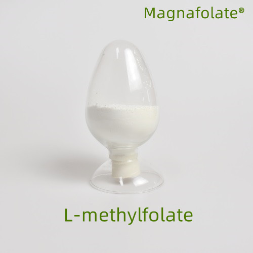Mis on l-metüülfolaat?