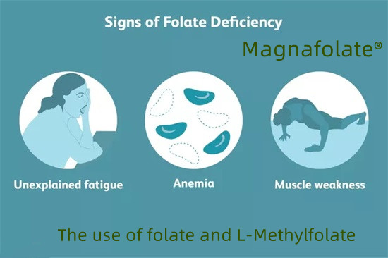 Folaadi ja L-metüülfolaadi kasutamine