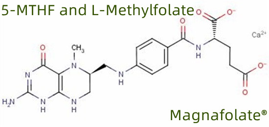 5-MTHF ja L-metüülfolaat