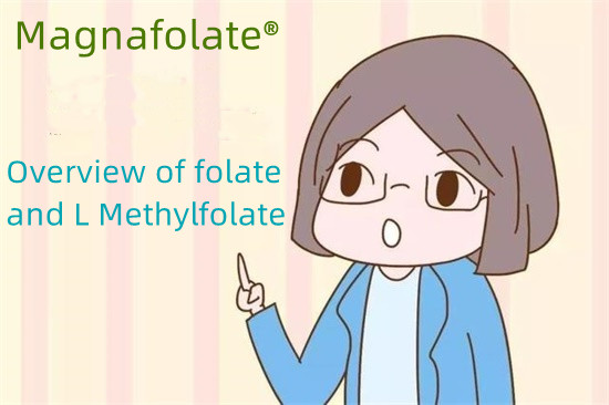 Ülevaade folaadist ja L-metüülfolaadist