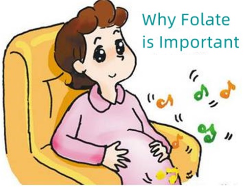 Miks foolhape on oluline?