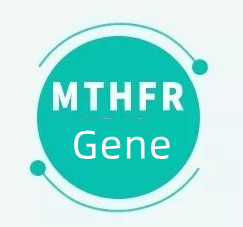 Mida see tähendab, kui teil on MTHFR geen?