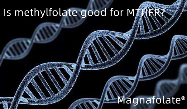 Kas metüülfolaat on MTHFR-i jaoks hea?