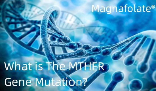 Mis on MTHFR geenimutatsioon?