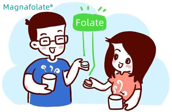 Kui palju folaati peaksite päevas võtma?