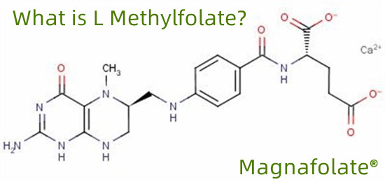 L-metüülfolaat 151533-22-1 kõrge puhtusastmega 99% 1000g/kott