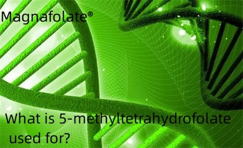 Milleks 5-metüültetrahüdrofolaati kasutatakse?