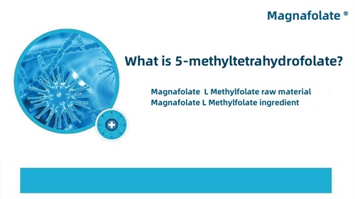 Mis on 5-metüültetrahüdrofolaat?