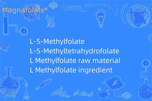 Mida L-metüülfolaat teeb?