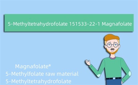 5-metüültetrahüdrofolaat 151533-22-1 magnafolaat