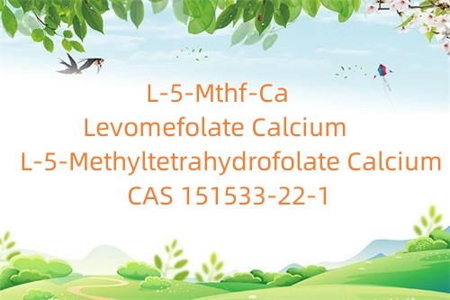L-5-metüültetrahüdrofolaatkaltsium_levomefolaatkaltsium_L-5-Mthf-Ca