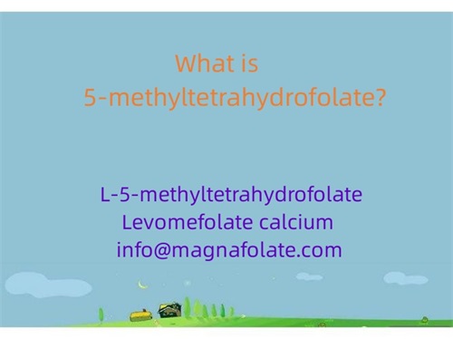 Mis on 5-metüültetrahüdrofolaat?