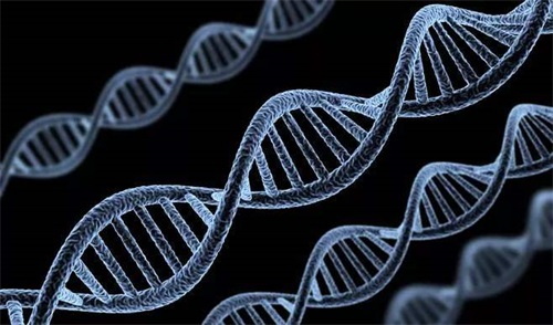 Folaatide metabolismi häirete peamiseks põhjuseks on ebanormaalsed folaate metaboliseeriva ensüümi genotüübid