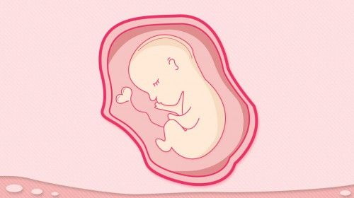 Folaat aitab kaasa reproduktiivsüsteemi toimimisele