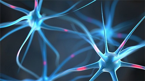 Miks foolhappe puudus võib põhjustada neuroloogilisi probleeme