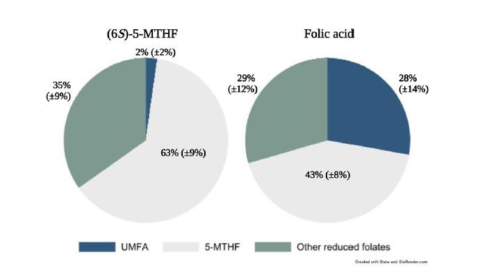 Ettevaatust! Ajakirjas Scientific Reports avaldatud uuring kinnitab, et kui imetavad naised lisavad foolhapet, on 28% nende piimas leiduvast folaadist kasutuskõlbmatu metaboliseerimata foolhape (UMFA) – see on 14 korda suurem kui emadel, kes võtavad bioaktiivset vormi.